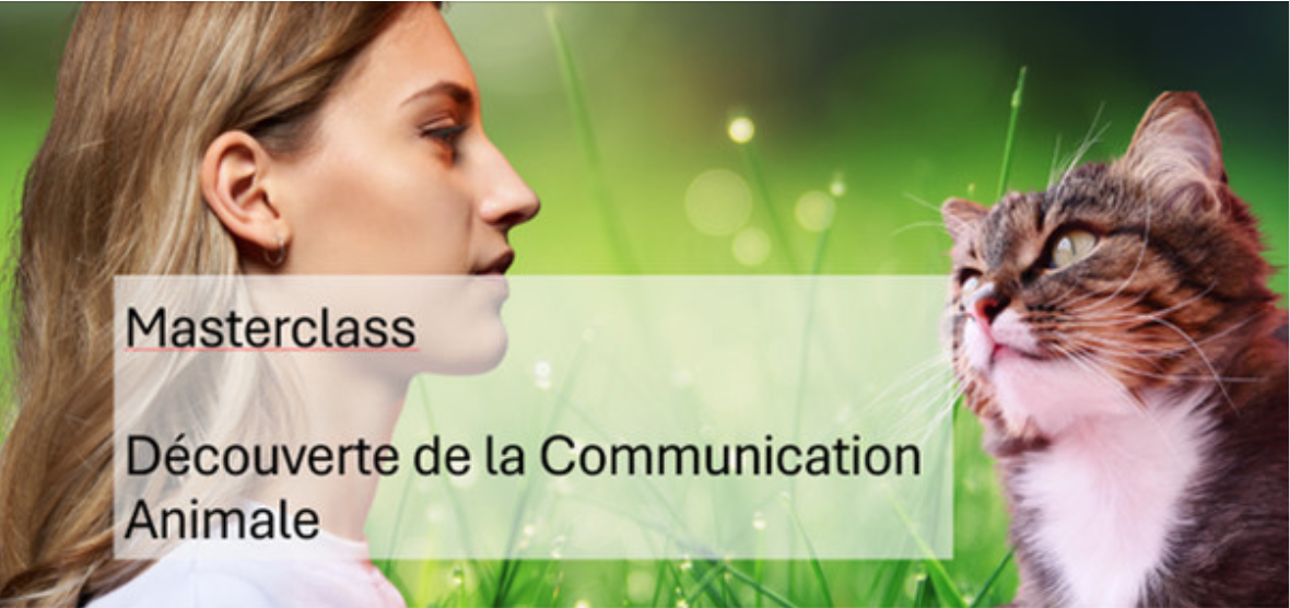 masterclass découverte de la communication animale